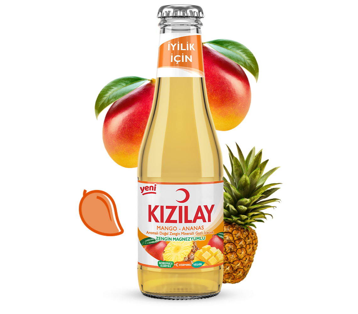 Kızılay Mango-Ananas 24 adet