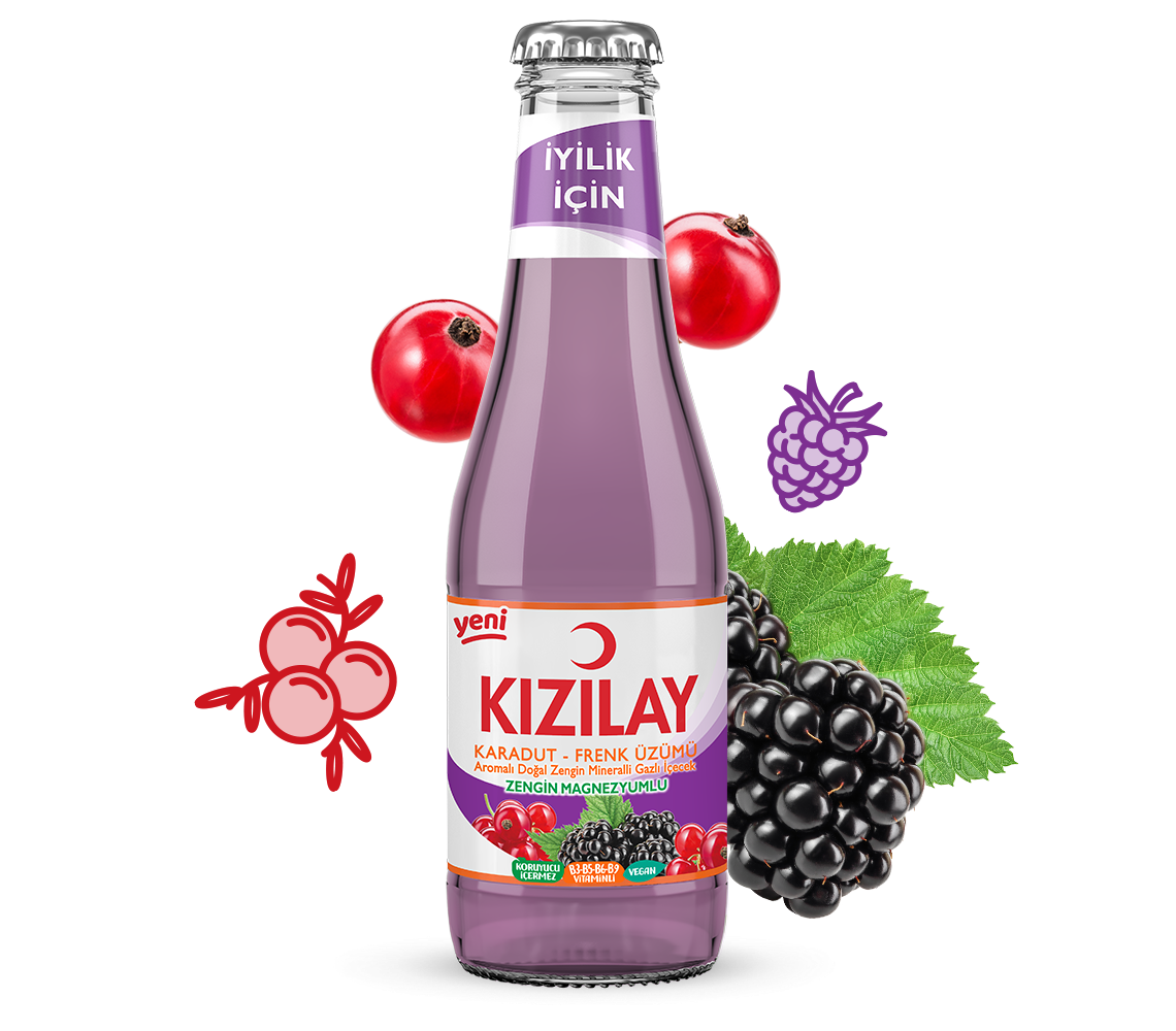 Kızılay Karadut-F.Üzümü 24 adet