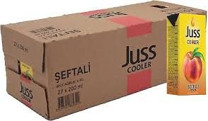 Juss Cooler 1/5 Şeftali 27 ad