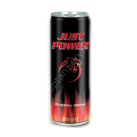 Just Power Enerji 250 ml 24 ad
