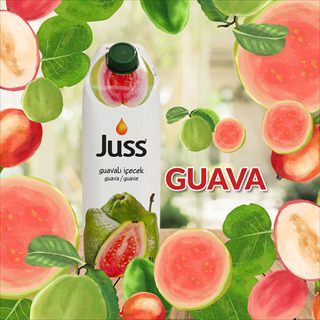 Juss 1 lt Guava Meyveli 12 ad