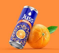 Juss Parçacık Port. 250 ml 24 ad
