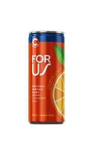 For Us Portakal 250 ml 24 adet