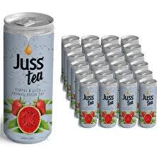 Juss IceTea Tnk Karp-Çil 250 ml 24 ad