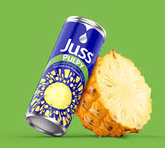 Juss Parçacık Ananas 250 ml 24 ad